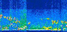 /calipso-imagery/data/BROWSE/production/V5-00/2014-06-24/2014-06-24_19-12-52_V5.00_3_thmb.png image missing