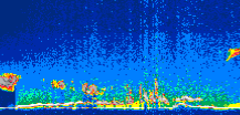 /calipso-imagery/data/BROWSE/production/V5-00/2014-06-30/2014-06-30_03-45-49_V5.00_1_thmb.png image missing