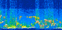 /calipso-imagery/data/BROWSE/production/V5-00/2014-06-30/2014-06-30_03-45-49_V5.00_3_thmb.png image missing