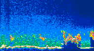 /calipso-imagery/data/BROWSE/production/V5-00/2014-06-30/2014-06-30_15-18-01_V5.00_4_thmb.png image missing