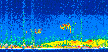 /calipso-imagery/data/BROWSE/production/V5-00/2014-07-05/2014-07-05_09-00-51_V5.00_2_thmb.png image missing