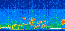 /calipso-imagery/data/BROWSE/production/V5-00/2014-07-05/2014-07-05_09-00-51_V5.00_3_thmb.png image missing