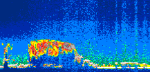 /calipso-imagery/data/BROWSE/production/V5-00/2014-07-10/2014-07-10_02-43-41_V5.00_1_thmb.png image missing