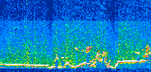 /calipso-imagery/data/BROWSE/production/V5-00/2014-07-10/2014-07-10_14-15-52_V5.00_3_thmb.png image missing