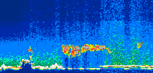 /calipso-imagery/data/BROWSE/production/V5-00/2014-07-10/2014-07-10_19-12-28_V5.00_1_thmb.png image missing