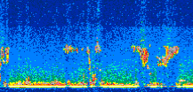 /calipso-imagery/data/BROWSE/production/V5-00/2014-07-16/2014-07-16_00-27-25_V5.00_2_thmb.png image missing