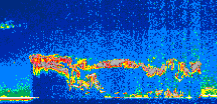 /calipso-imagery/data/BROWSE/production/V5-00/2014-07-16/2014-07-16_16-56-12_V5.00_1_thmb.png image missing