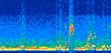 /calipso-imagery/data/BROWSE/production/V5-00/2014-07-18/2014-07-18_00-14-56_V5.00_2_thmb.png image missing