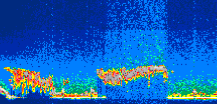 /calipso-imagery/data/BROWSE/production/V5-00/2014-07-18/2014-07-18_06-50-22_V5.00_1_thmb.png image missing