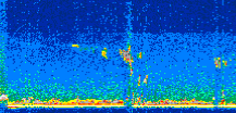 /calipso-imagery/data/BROWSE/production/V5-00/2014-07-19/2014-07-19_00-58-04_V5.00_2_thmb.png image missing