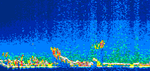 /calipso-imagery/data/BROWSE/production/V5-00/2014-07-19/2014-07-19_09-12-30_V5.00_1_thmb.png image missing