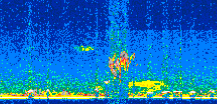 /calipso-imagery/data/BROWSE/production/V5-00/2014-07-19/2014-07-19_15-48-01_V5.00_2_thmb.png image missing