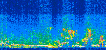 /calipso-imagery/data/BROWSE/production/V5-00/2014-07-20/2014-07-20_01-41-17_V5.00_3_thmb.png image missing