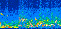 /calipso-imagery/data/BROWSE/production/V5-00/2014-08-05/2014-08-05_03-19-13_V5.00_3_thmb.png image missing