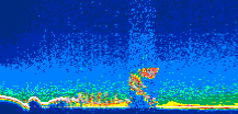 /calipso-imagery/data/BROWSE/production/V5-00/2014-08-05/2014-08-05_06-36-58_V5.00_1_thmb.png image missing