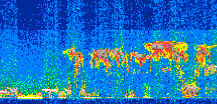/calipso-imagery/data/BROWSE/production/V5-00/2014-08-05/2014-08-05_08-15-49_V5.00_2_thmb.png image missing