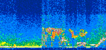 /calipso-imagery/data/BROWSE/production/V5-00/2014-08-05/2014-08-05_11-33-34_V5.00_3_thmb.png image missing