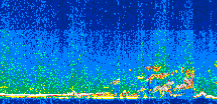 /calipso-imagery/data/BROWSE/production/V5-00/2014-08-05/2014-08-05_21-26-55_V5.00_3_thmb.png image missing
