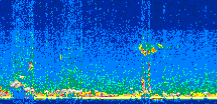 /calipso-imagery/data/BROWSE/production/V5-00/2014-08-05/2014-08-05_23-05-46_V5.00_2_thmb.png image missing