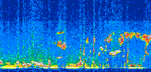 /calipso-imagery/data/BROWSE/production/V5-00/2014-08-10/2014-08-10_03-37-24_V5.00_2_thmb.png image missing