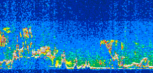 /calipso-imagery/data/BROWSE/production/V5-00/2014-08-10/2014-08-10_06-55-09_V5.00_3_thmb.png image missing