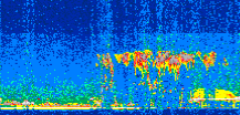 /calipso-imagery/data/BROWSE/production/V5-00/2014-08-10/2014-08-10_08-34-00_V5.00_2_thmb.png image missing
