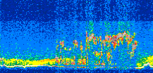 /calipso-imagery/data/BROWSE/production/V5-00/2014-08-10/2014-08-10_11-51-45_V5.00_2_thmb.png image missing