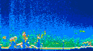 /calipso-imagery/data/BROWSE/production/V5-00/2014-08-10/2014-08-10_15-09-30_V5.00_4_thmb.png image missing