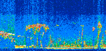 /calipso-imagery/data/BROWSE/production/V5-00/2014-08-16/2014-08-16_02-59-48_V5.00_2_thmb.png image missing