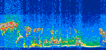/calipso-imagery/data/BROWSE/production/V5-00/2014-08-16/2014-08-16_04-38-38_V5.00_3_thmb.png image missing