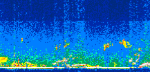 /calipso-imagery/data/BROWSE/production/V5-00/2014-08-16/2014-08-16_16-10-50_V5.00_3_thmb.png image missing