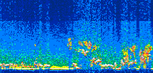 /calipso-imagery/data/BROWSE/production/V5-00/2014-08-16/2014-08-16_22-46-21_V5.00_3_thmb.png image missing