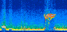 /calipso-imagery/data/BROWSE/production/V5-00/2014-08-22/2014-08-22_00-43-17_V5.00_2_thmb.png image missing