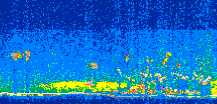 /calipso-imagery/data/BROWSE/production/V5-00/2014-08-22/2014-08-22_12-15-23_V5.00_2_thmb.png image missing