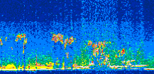 /calipso-imagery/data/BROWSE/production/V5-00/2014-08-22/2014-08-22_18-50-54_V5.00_3_thmb.png image missing