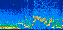 /calipso-imagery/data/BROWSE/production/V5-00/2014-08-22/2014-08-22_23-47-35_V5.00_3_thmb.png image missing