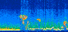 /calipso-imagery/data/BROWSE/production/V5-00/2014-08-24/2014-08-24_00-30-43_V5.00_3_thmb.png image missing