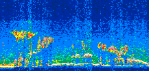 /calipso-imagery/data/BROWSE/production/V5-00/2014-08-24/2014-08-24_05-27-19_V5.00_3_thmb.png image missing