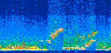 /calipso-imagery/data/BROWSE/production/V5-00/2014-08-24/2014-08-24_23-35-01_V5.00_3_thmb.png image missing
