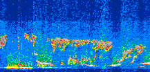 /calipso-imagery/data/BROWSE/production/V5-00/2014-08-30/2014-08-30_04-49-33_V5.00_3_thmb.png image missing