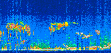 /calipso-imagery/data/BROWSE/production/V5-00/2014-10-06/2014-10-06_01-45-57_V5.00_3_thmb.png image missing