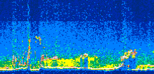 /calipso-imagery/data/BROWSE/production/V5-00/2014-10-06/2014-10-06_10-00-19_V5.00_3_thmb.png image missing