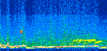 /calipso-imagery/data/BROWSE/production/V5-00/2014-10-06/2014-10-06_13-18-04_V5.00_2_thmb.png image missing