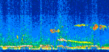 /calipso-imagery/data/BROWSE/production/V5-00/2014-10-06/2014-10-06_14-56-54_V5.00_2_thmb.png image missing