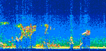 /calipso-imagery/data/BROWSE/production/V5-00/2014-10-06/2014-10-06_16-35-49_V5.00_3_thmb.png image missing