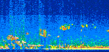 /calipso-imagery/data/BROWSE/production/V5-00/2014-10-07/2014-10-07_00-50-10_V5.00_2_thmb.png image missing