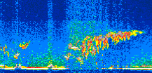/calipso-imagery/data/BROWSE/production/V5-00/2014-10-07/2014-10-07_02-29-01_V5.00_2_thmb.png image missing