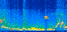 /calipso-imagery/data/BROWSE/production/V5-00/2014-10-07/2014-10-07_10-43-27_V5.00_2_thmb.png image missing