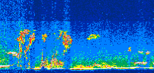 /calipso-imagery/data/BROWSE/production/V5-00/2014-10-07/2014-10-07_18-57-48_V5.00_3_thmb.png image missing