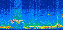 /calipso-imagery/data/BROWSE/production/V5-00/2014-10-08/2014-10-08_06-29-54_V5.00_2_thmb.png image missing